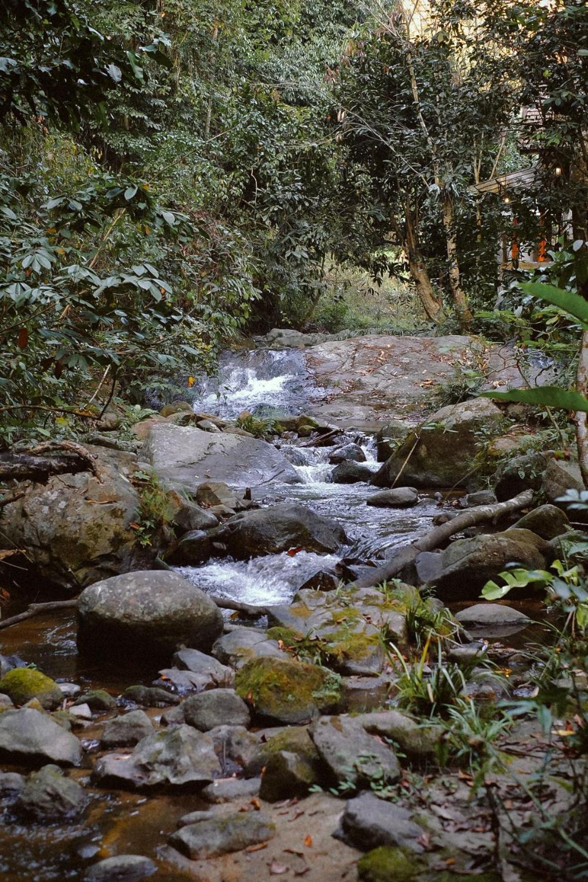 Bee Forest Ban Pok Nai Exterior photo